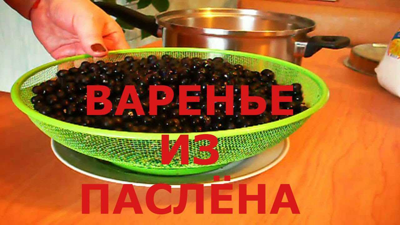 Вино из санберри польза и вред. рассмотрим целительные свойства плодов санберри детальнее
