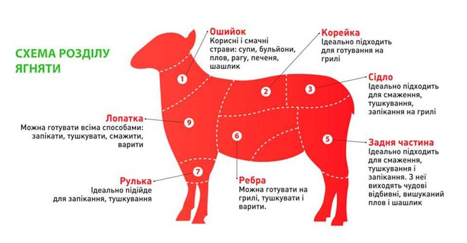 Пошаговый рецепт правильного плова из баранины. технология приготовления блюд из баранины в пошаговых рецептах плова - автор екатерина данилова - журнал женское мнение