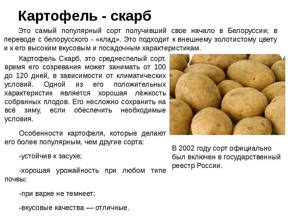 К чему снится копать картошку