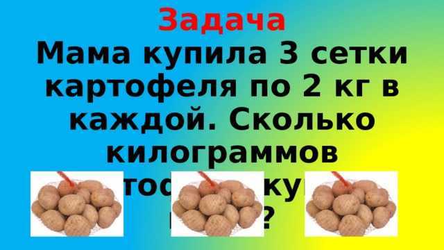 Сколько весит мешок картошки: сетчатый, капроновый, джутовый?