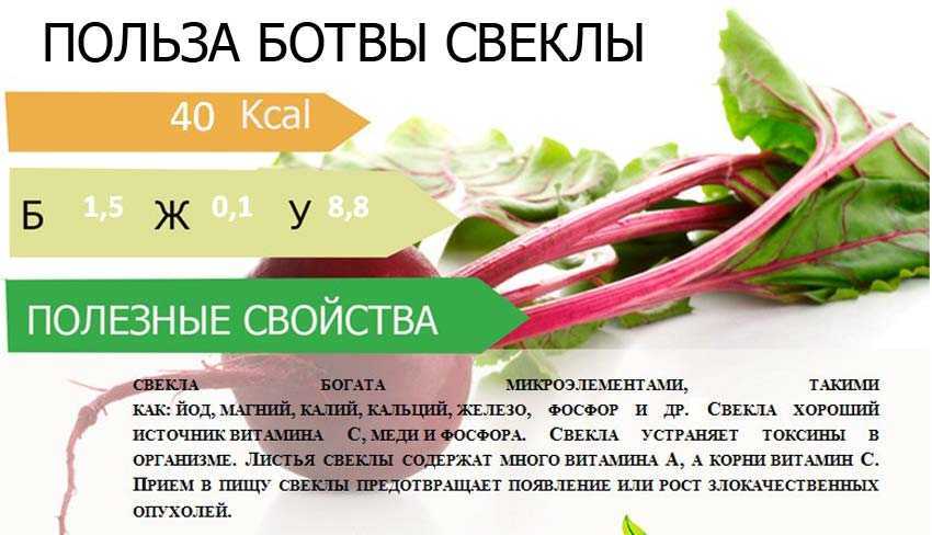 Как приготовить сок в соковыжималке: витаминные рецепты