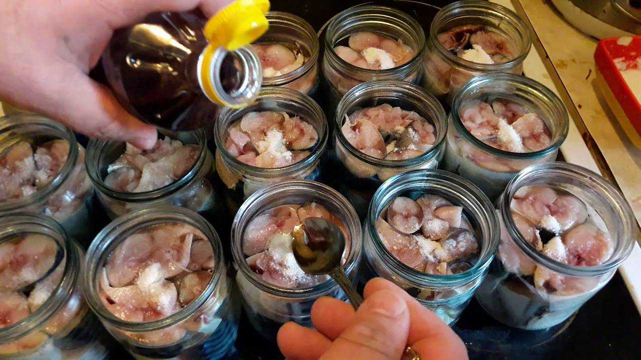 Консервы из горбуши в домашних условиях: в томате, в масле, с овощами