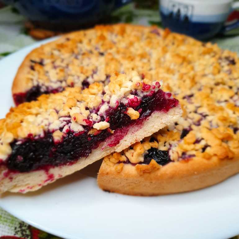 15 самых вкусных рецептов пирогов с замороженными ягодами