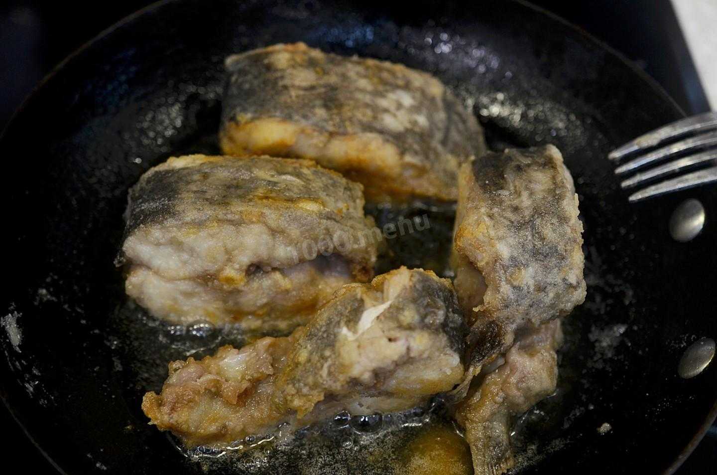 Как вкусно пожарить сома на сковороде: рецепты с луком, в кляре, жареные стейки - onwomen.ru