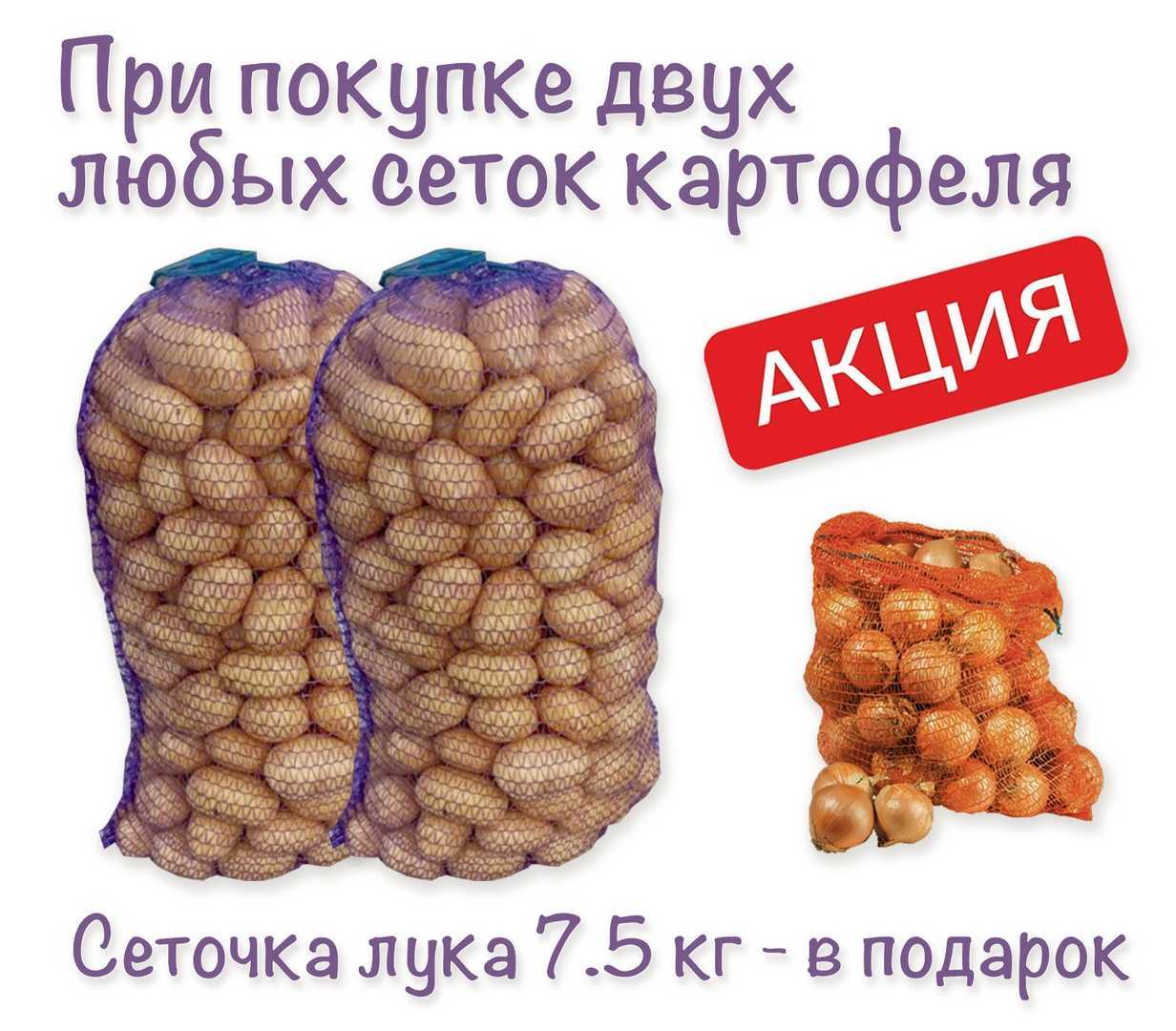 Сколько весит одна свекла?