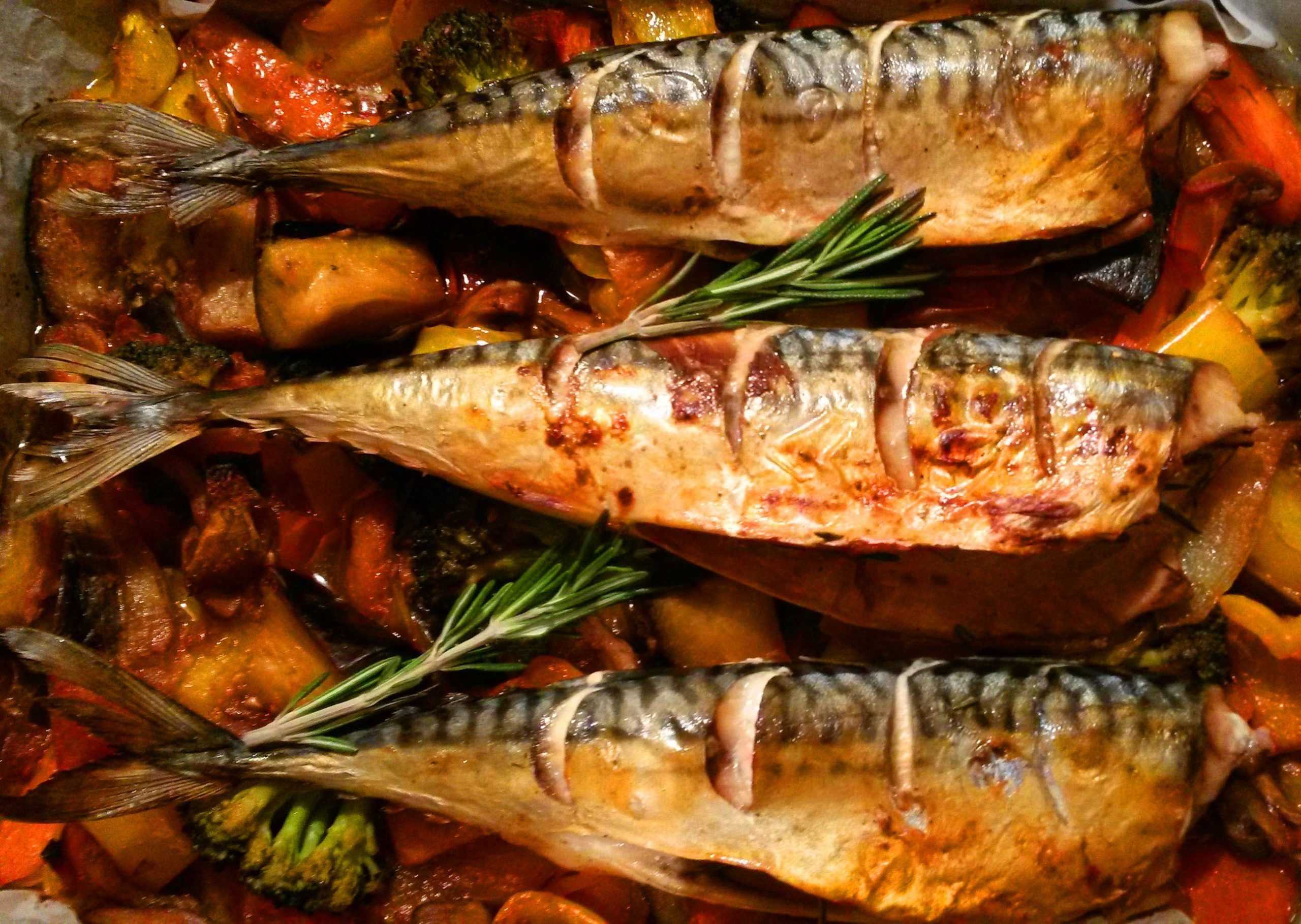 Фаршированная скумбрия луком и морковью  с использованием: скумбрия,морковь,сыр,лук репчатый Рыбка прекрасно разнообразит меню Фаршированная скумбрия с луком и морковью быстро готовится в духовке