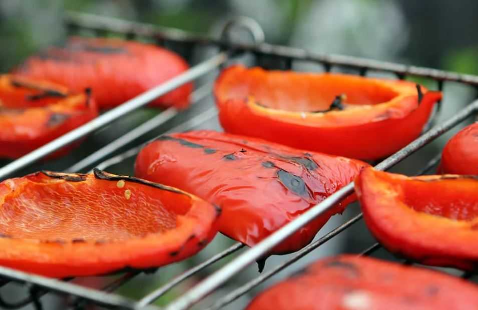 Как вкусно пожарить овощи на гриле - рецепты лучших маринадов и технологи приготовления с фото