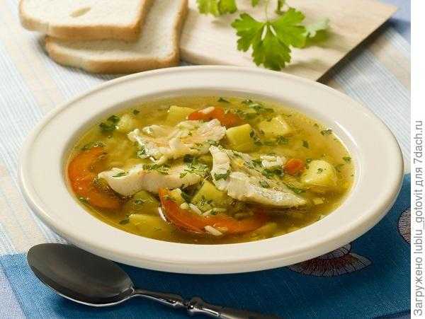 Рыбный суп с рисом: 4 простых домашних варианта