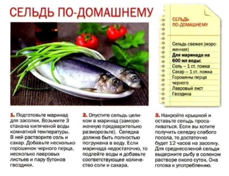 Олюторская сельдь — что это, почему так называется