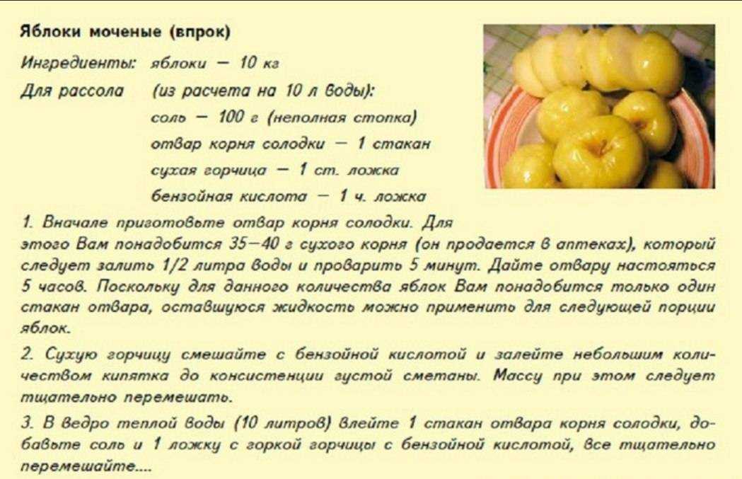 Как определить момент сбора урожая сливы