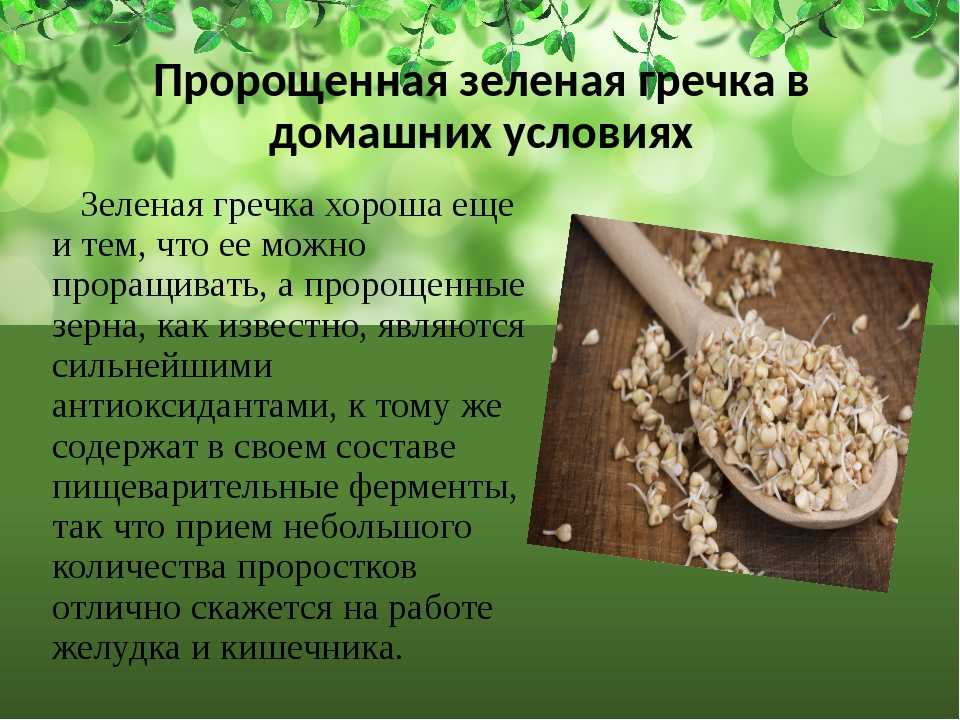 Запеканка из гречневой каши со шпинатом и сосисками