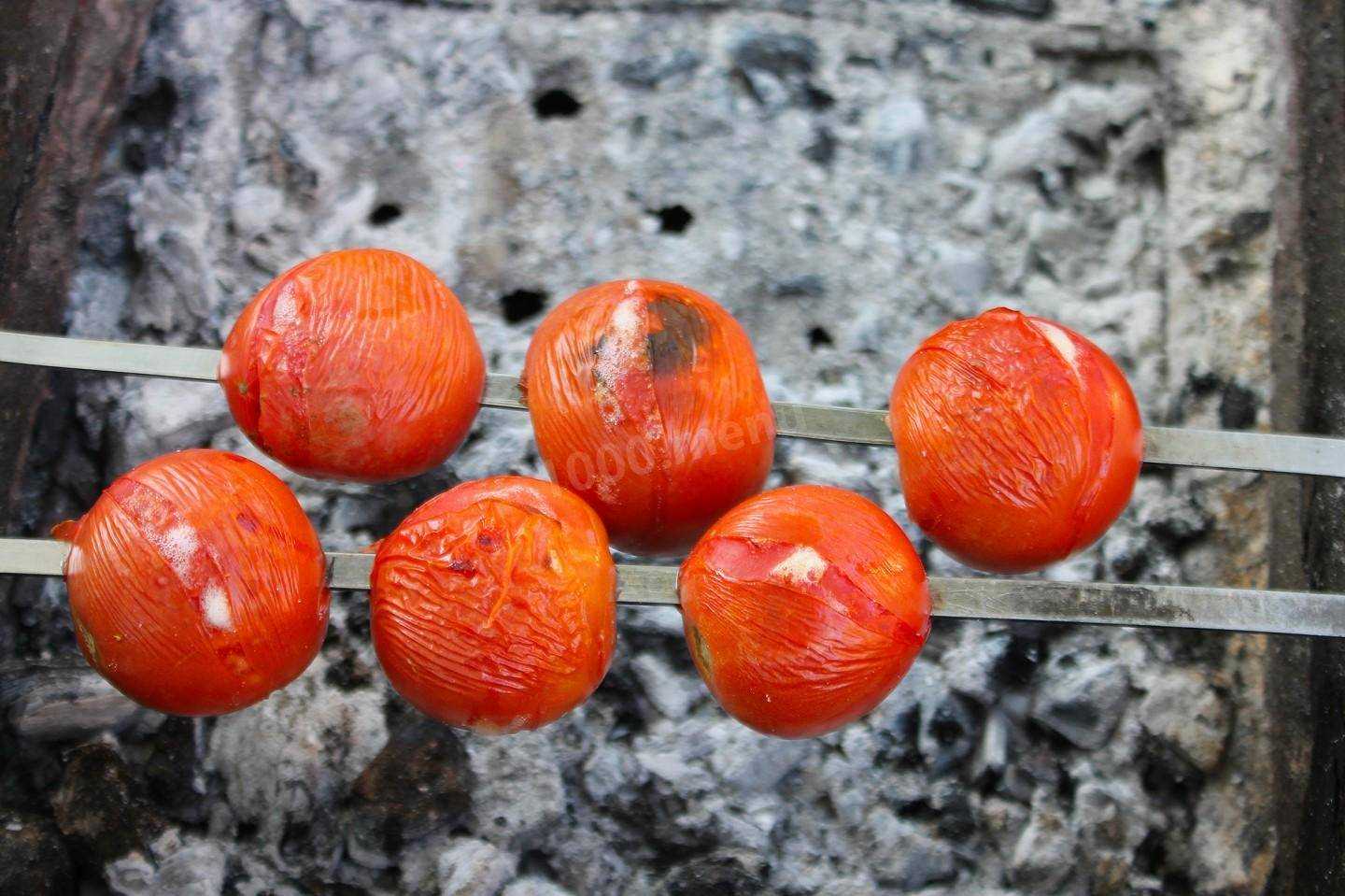 Как вкусно приготовить помидоры на мангале: рецепты на шампурах, на решетке - onwomen.ru