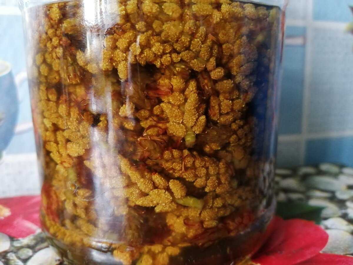 Варенье из сосновых побегов рецепты польза и вред