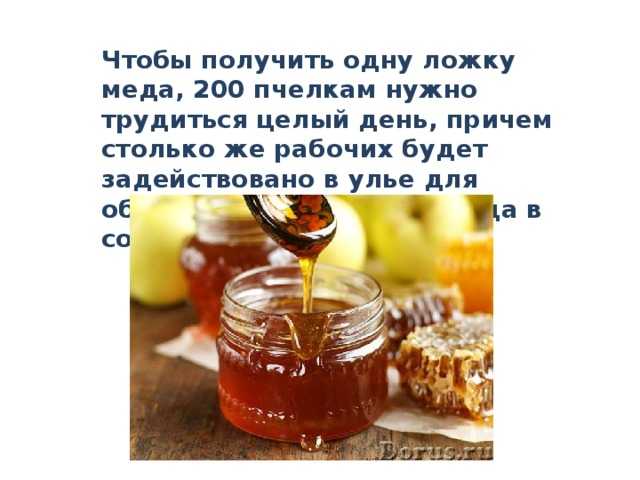 Сколько грамм в столовой и чайной ложке? таблицы мер и весов продуктов в ложках и стаканах