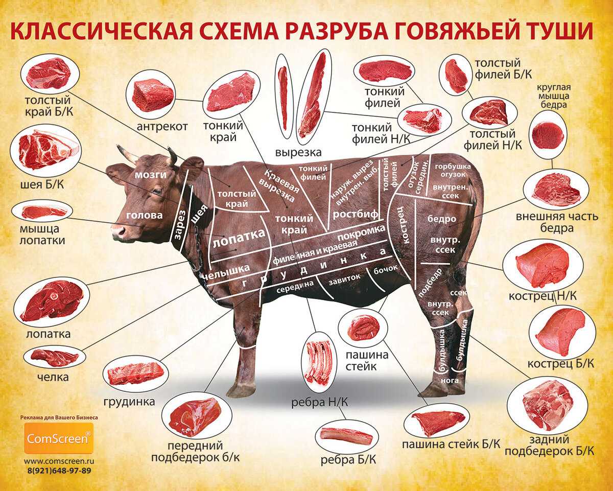 Чем отличается шницель от котлеты и бифштекса? - лучшие рецепты салатов с фото, закуски на день рождения, вторые блюда из мяса, супы, выпечка и многое другое