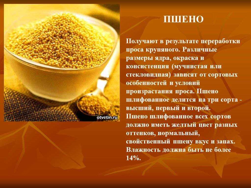 Крупа из проса. пшено: полезные свойства и способы приготовления