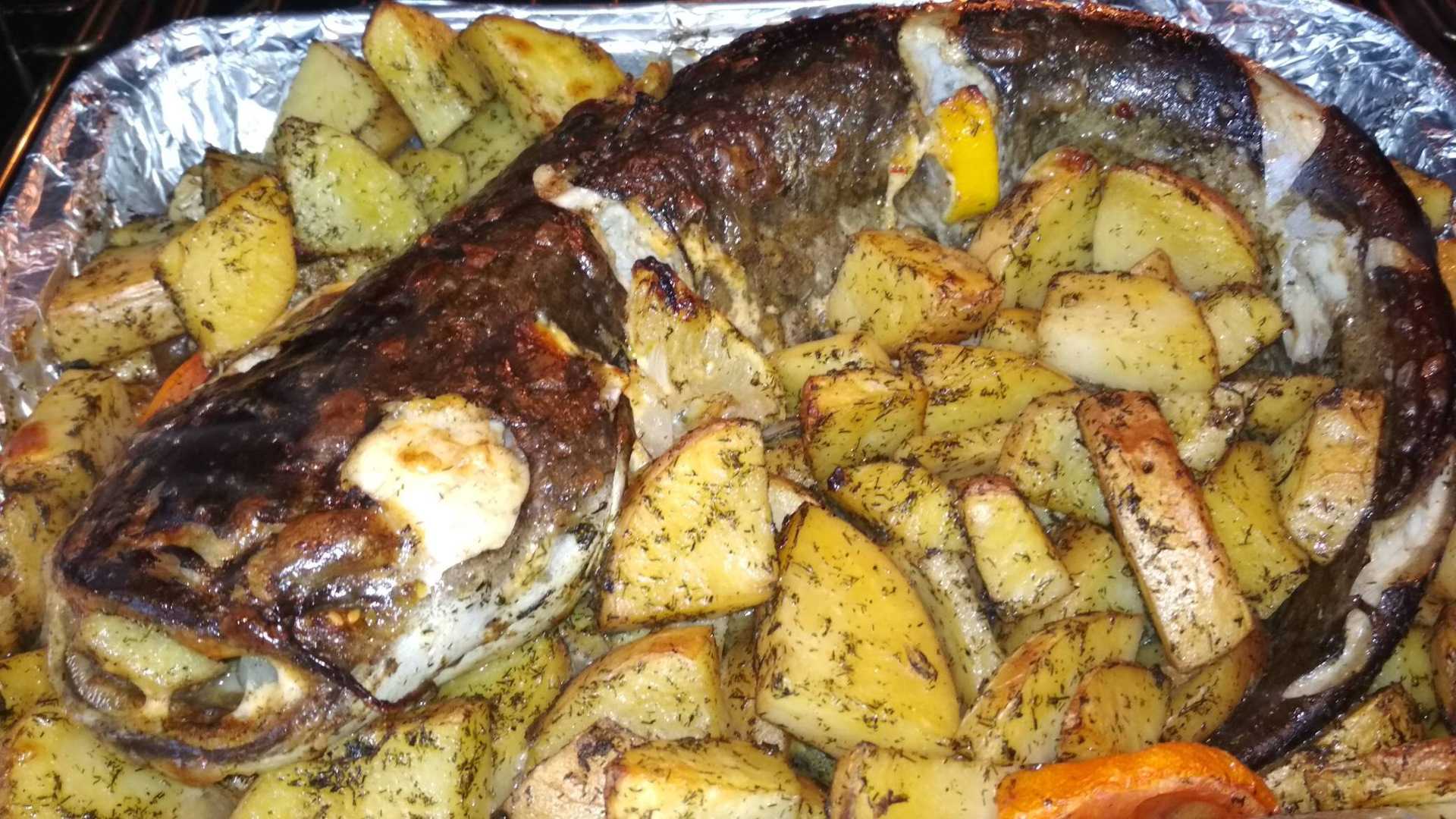 Запеченный сом в духовке с картошкой - фаршированный целиком и филе