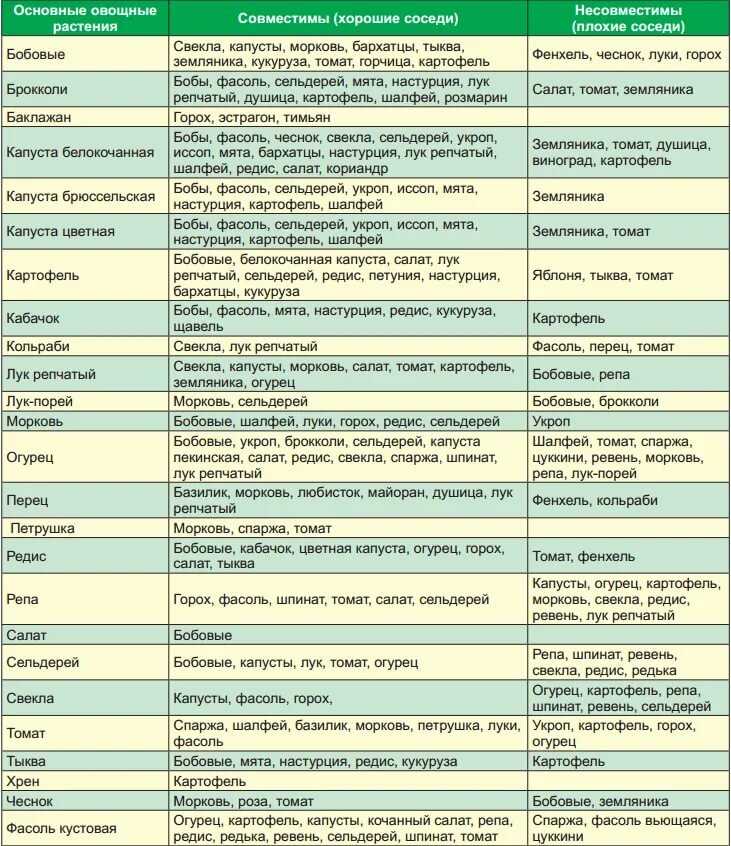 Таблица совместимости растений на грядке