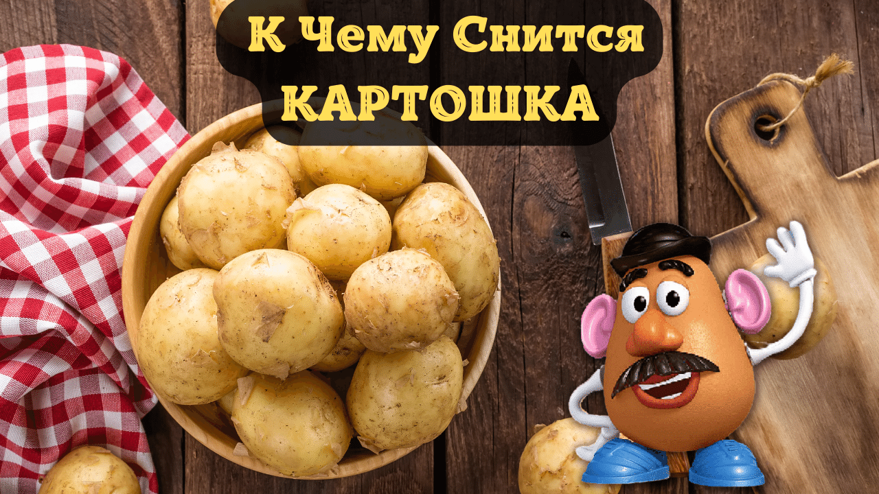 К чему снится картошка женщине или мужчине? видели во сне много молодого картофеля? приснились клубни мелкого картофеля в земле? толкование по соннику миллера и другим.
