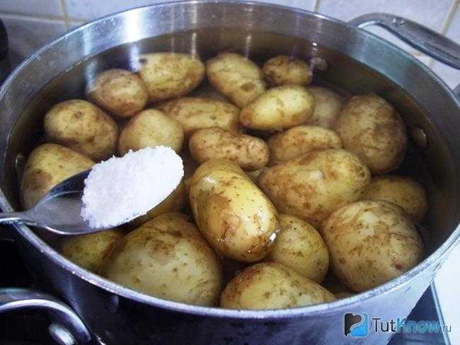 Молодая картошка с укропом и сметаной или маслом в пп меню