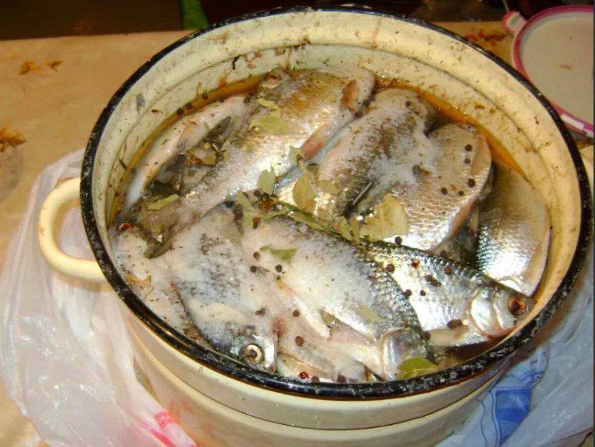 Как вкусно приготовить плотву