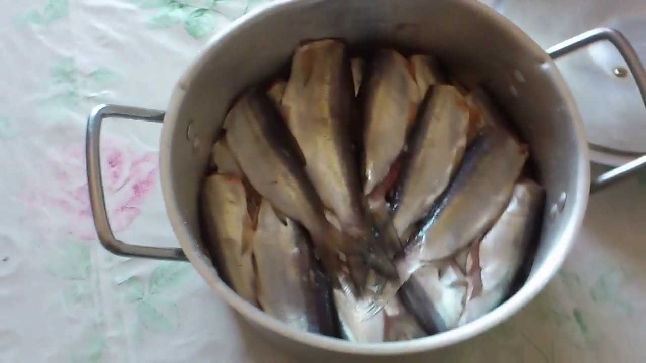 Как вкусно посолить рыбу пелядь - bookcooks.ru