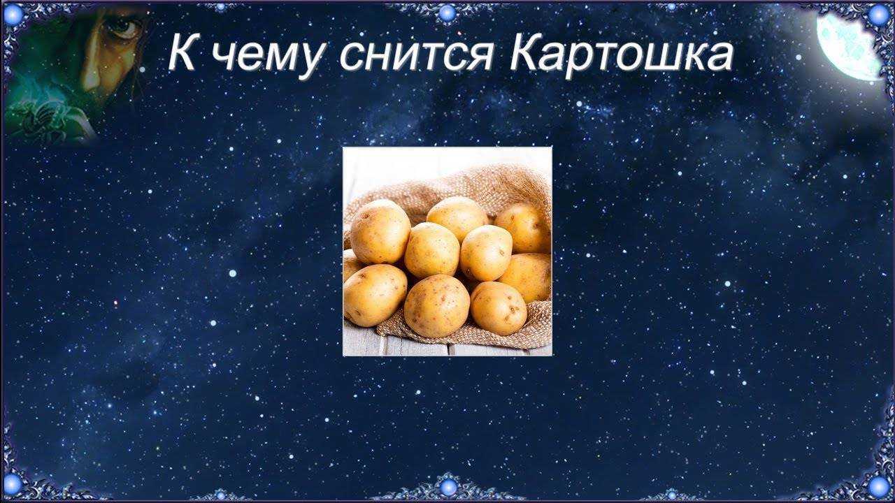 Сонник вареная картошка  приснились, к чему снятся вареная картошка во сне видеть?