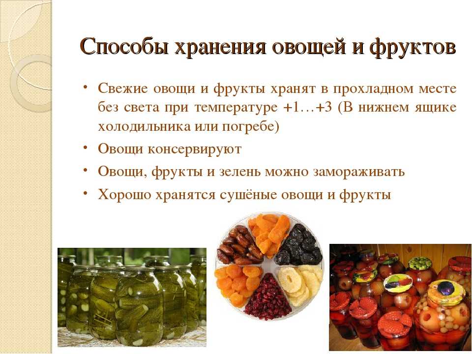 Как понять, что пора собирать урожай яблок? степень зрелости плодов. фото — ботаничка