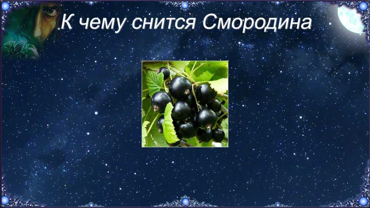 Видеть помидоры во сне – сонник, толкование сна для женщин и мужчин
