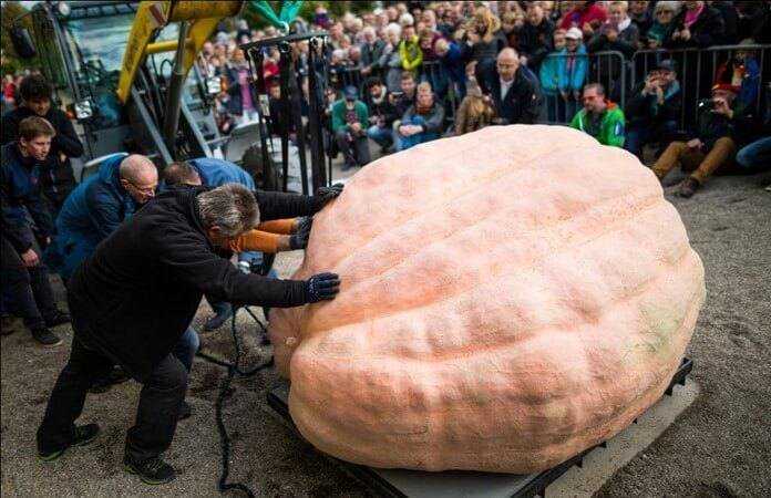 Рекорды гиннеса