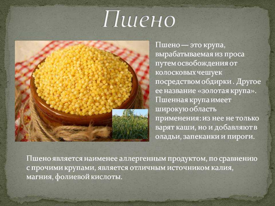 Пшено: полезно или вредно? правила приготовления, особенности применения при заболеваниях – статья на tea.ru