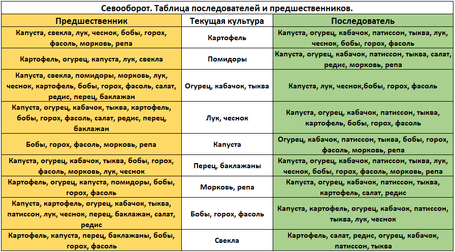Севооборот овощных культур - таблица, предшественники овощей, организация чередования на даче