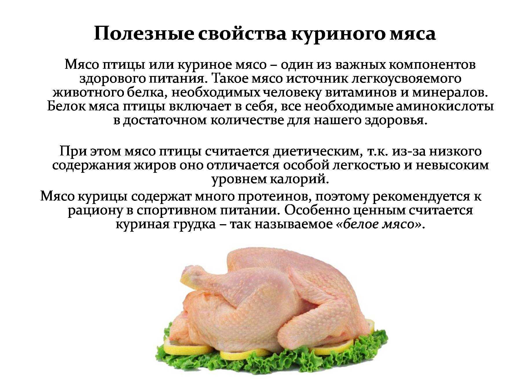 Роль и польза куриного мяса в питании человека | статья в журнале «молодой ученый»
