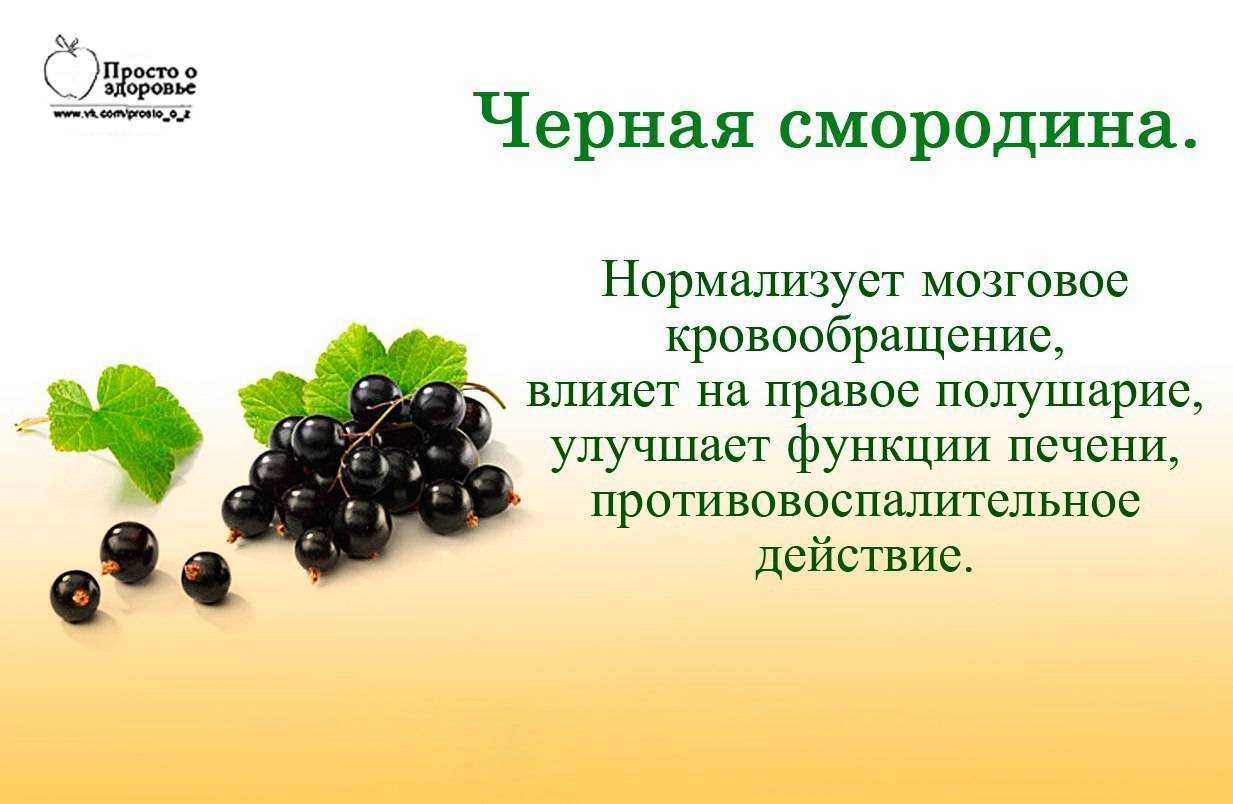 Красная смородина