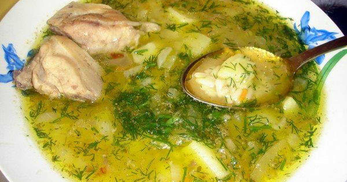 Суп с рисом томатной пастой и курицей рецепт фото пошагово и видео - 1000.menu