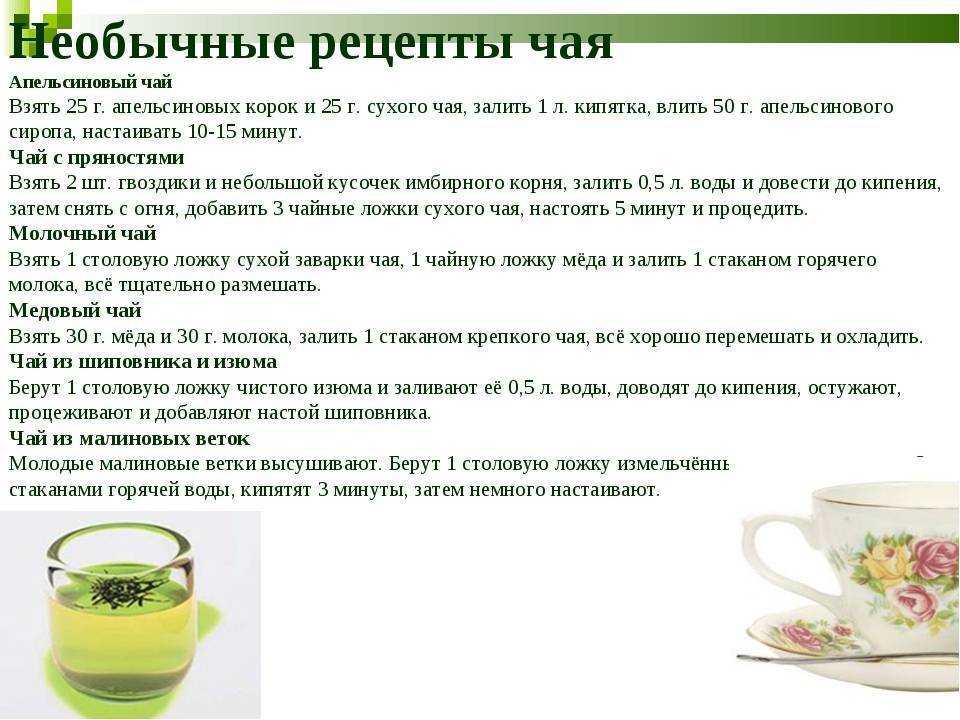 Когда лучше собирать листья земляники для чая - обзор