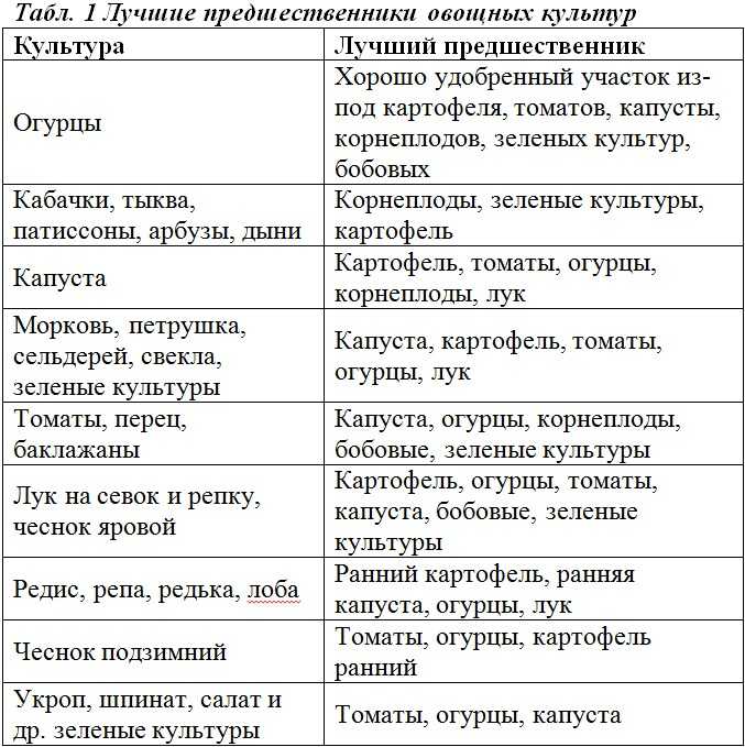 Можно ли сажать помидоры после огурцов, перцев, на одном и том же месте? после чего лучше сажать помидоры? с чем рядом можно сажать помидоры: статьи. что можно сажать после помидоров в теплице, грунте