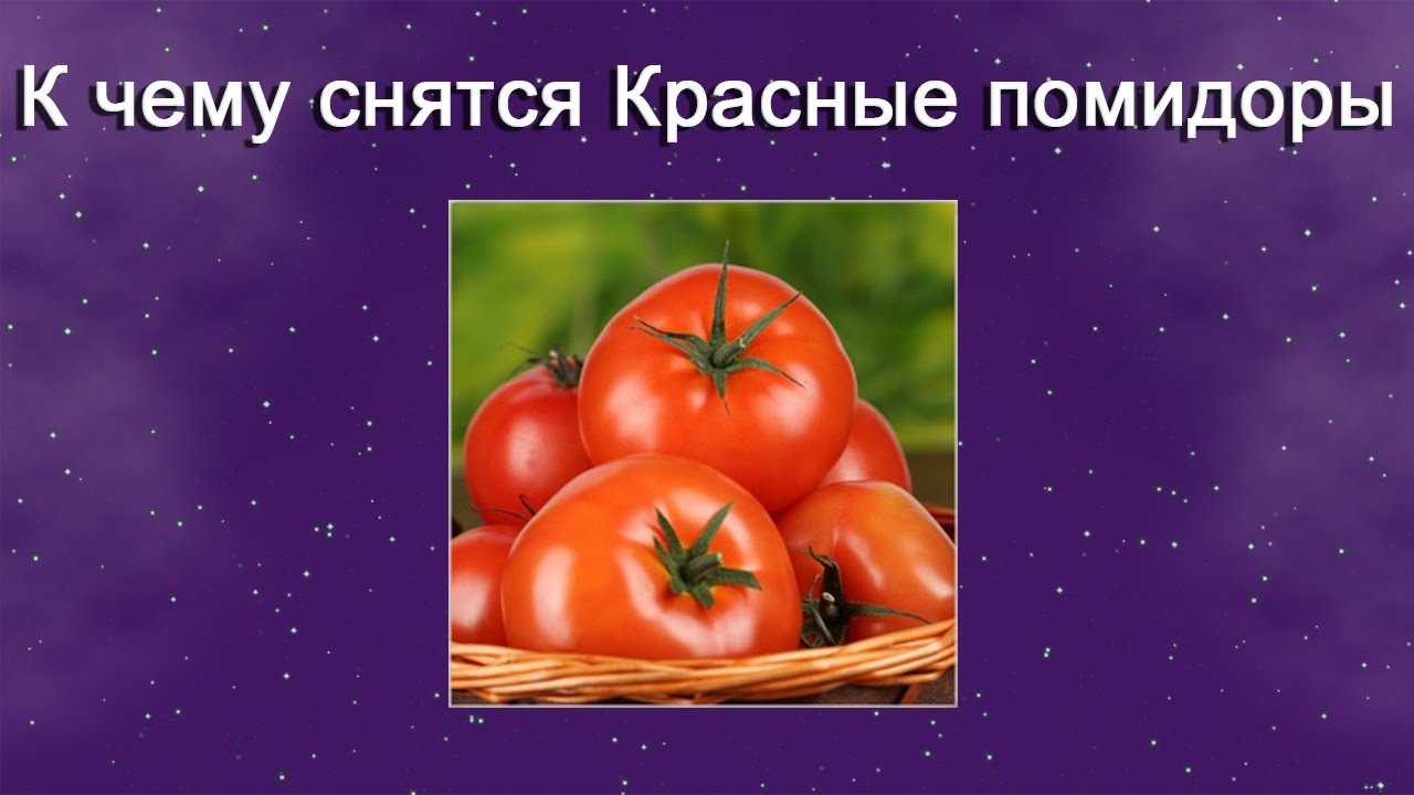 Сонник помидоры: к чему снится и что означает сон?