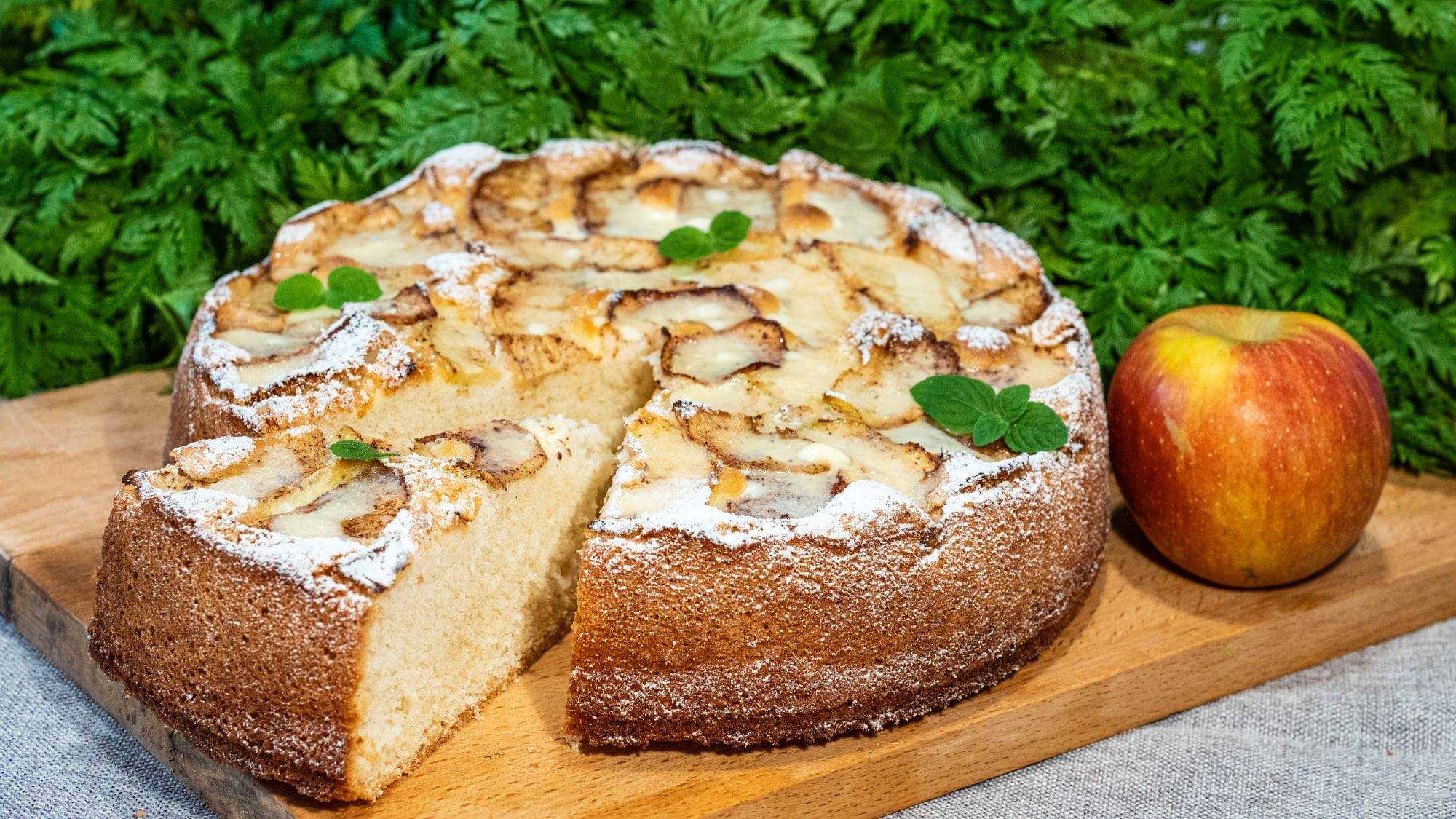 Шарлотка с яблоками в духовке: пышная и вкусная. 10 простых рецептов приготовления