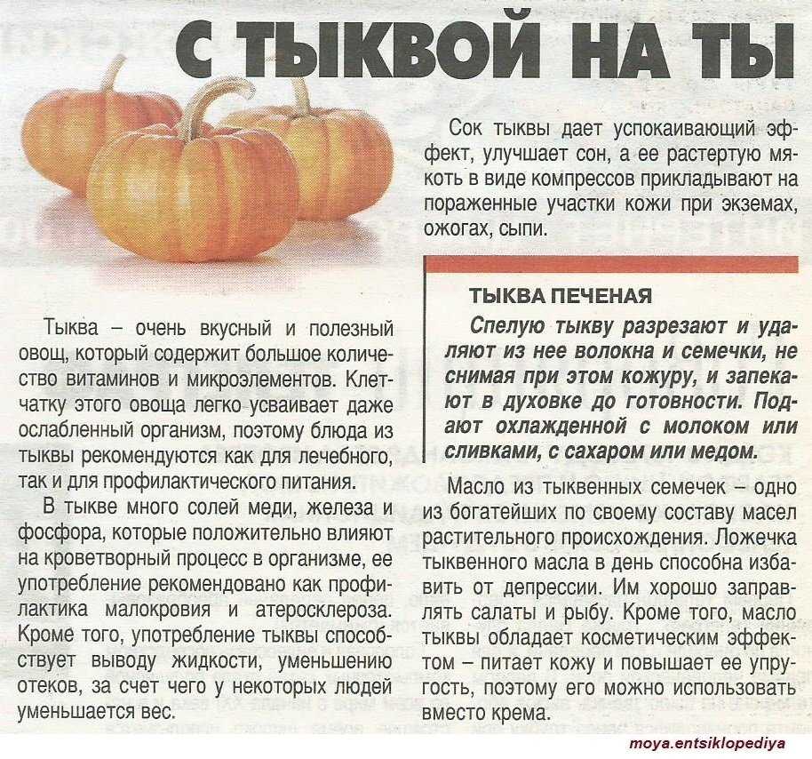 Салат из сырой тыквы – 12 быстрых и вкусных рецептов