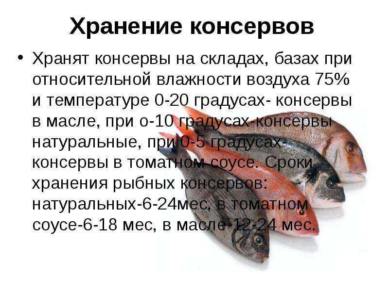 Сколько и как хранить шпроты (в холодильнике, до и после вскрытия)