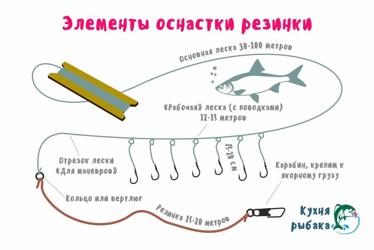 Что можно сделать из чехони — самые вкусные рецепты