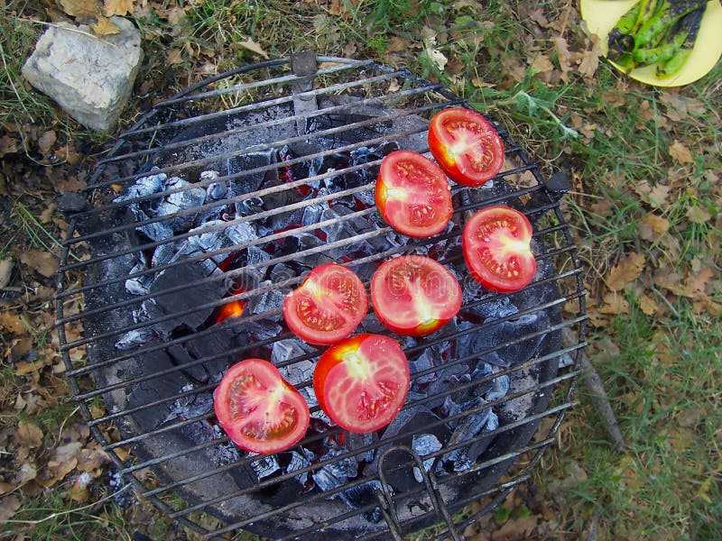 Как приготовить помидоры на гриле: самые вкусные рецепты