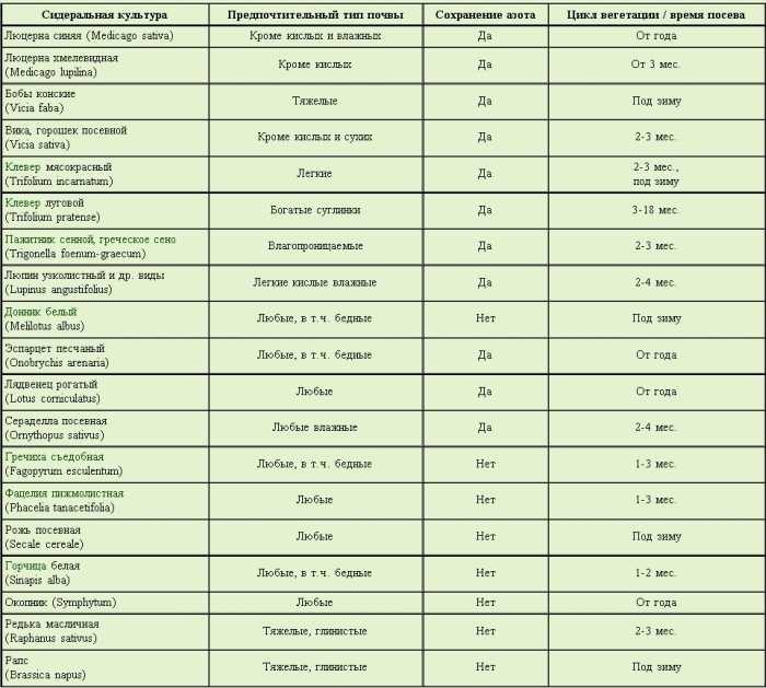 Эспарцет как сидерат