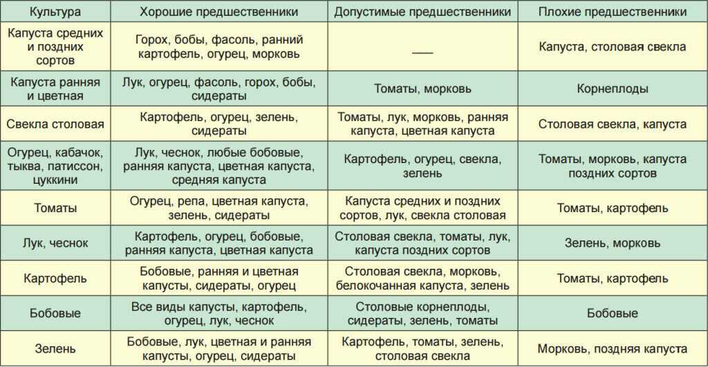 Горчица белая как сидерат: сроки посева и особенности выращивания