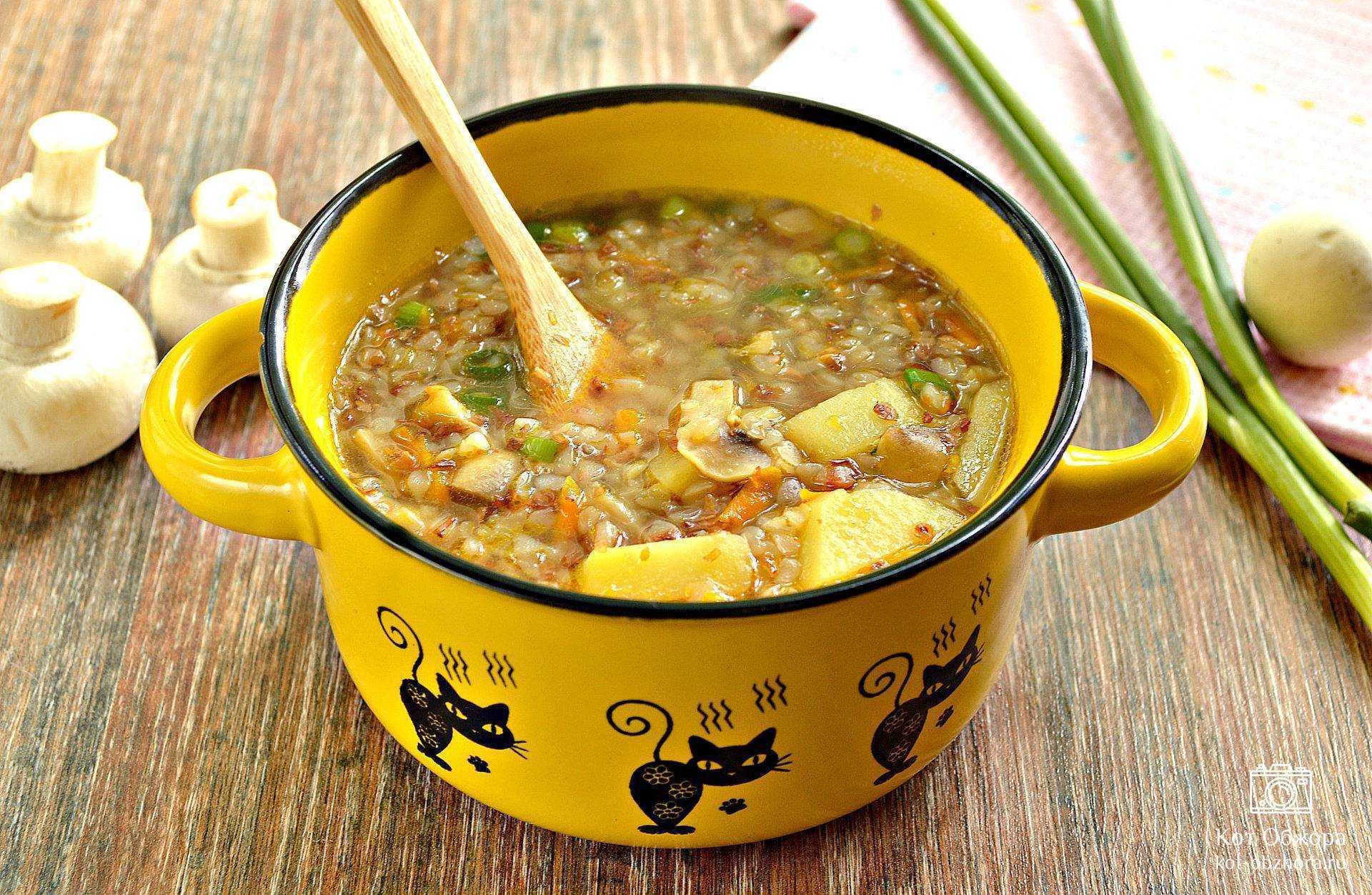 Какие супы есть, если вы на белковой диете. рецепты простых и вкусных блюд