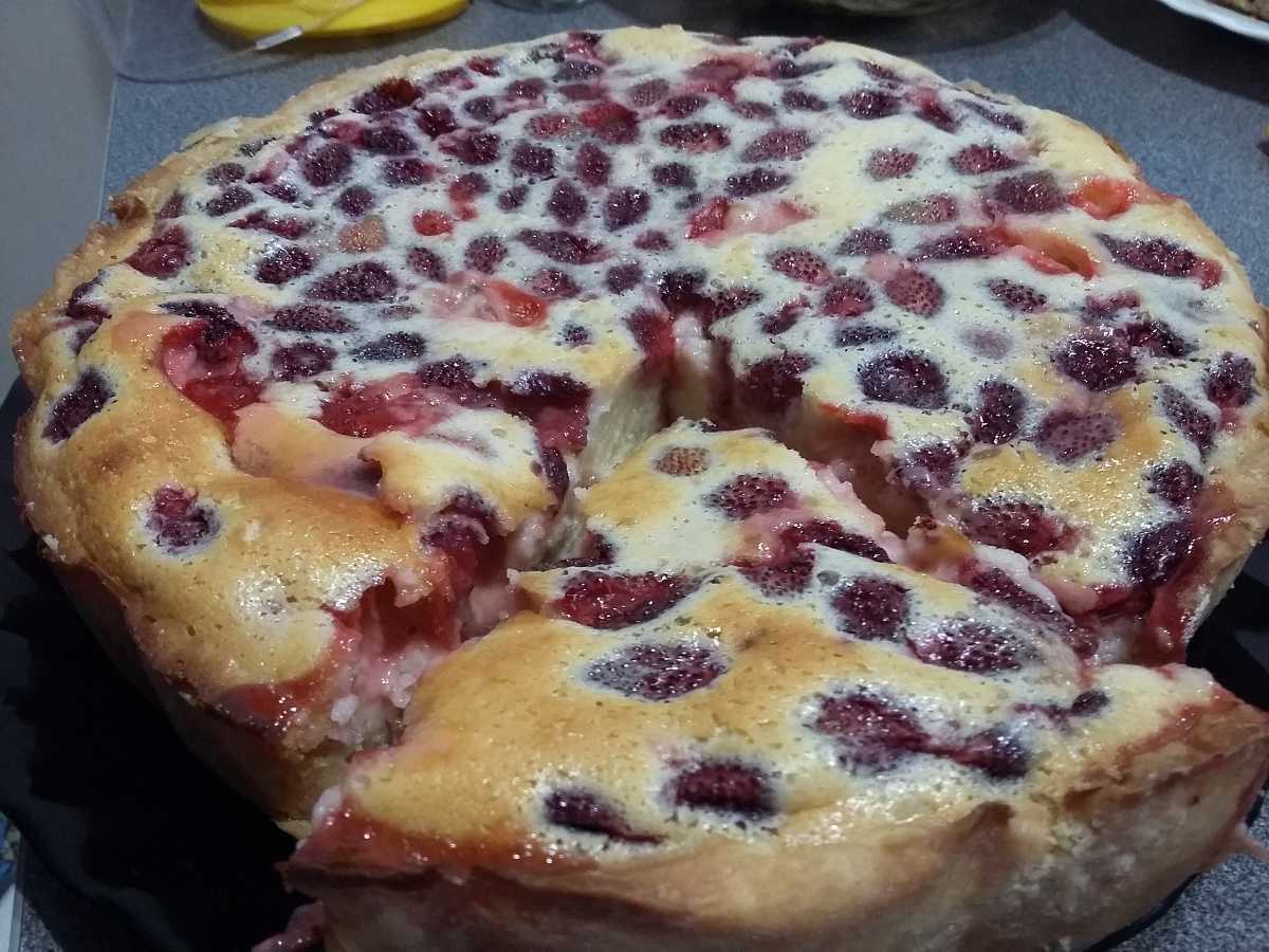 Пирог с творогом — 12 рецептов очень вкусных быстрых и нежных творожных пирогов